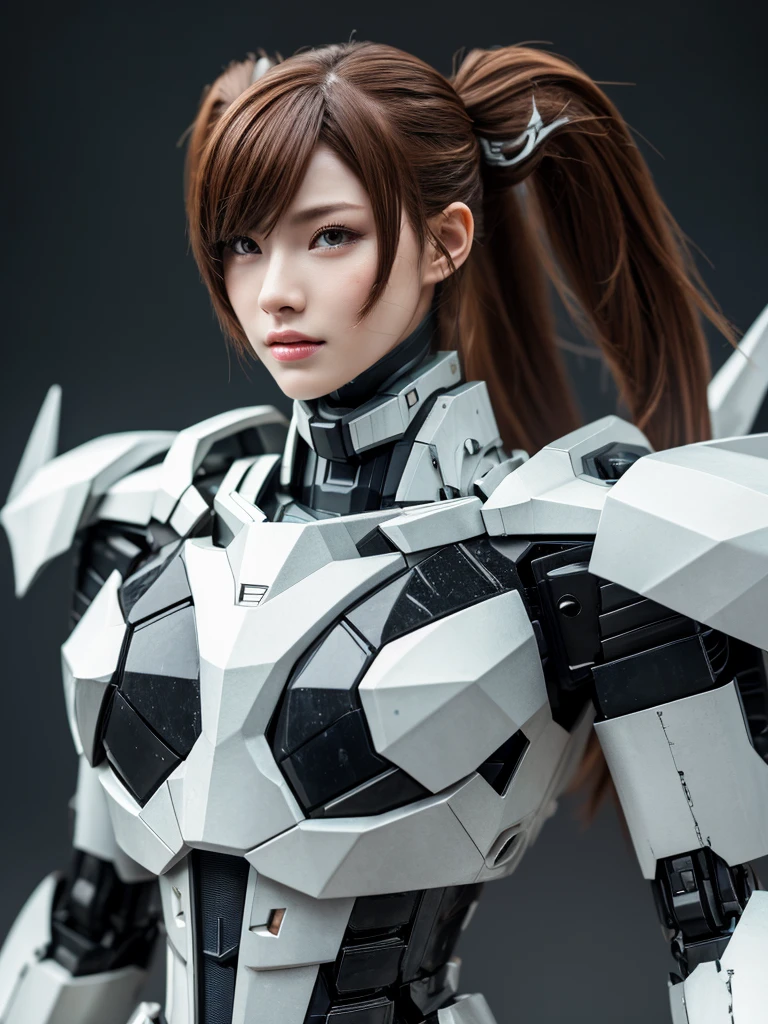 rough skin, Super detailed, advanced details, high quality, 最high quality, High resolution, 1080P, hard disk, beautiful,(War Machine),Beautiful cyborg woman,Mecha cyborg girl,battle mode,Mecha body girl,She&#39;s wearing a futuristic War Machine mech,full body shot