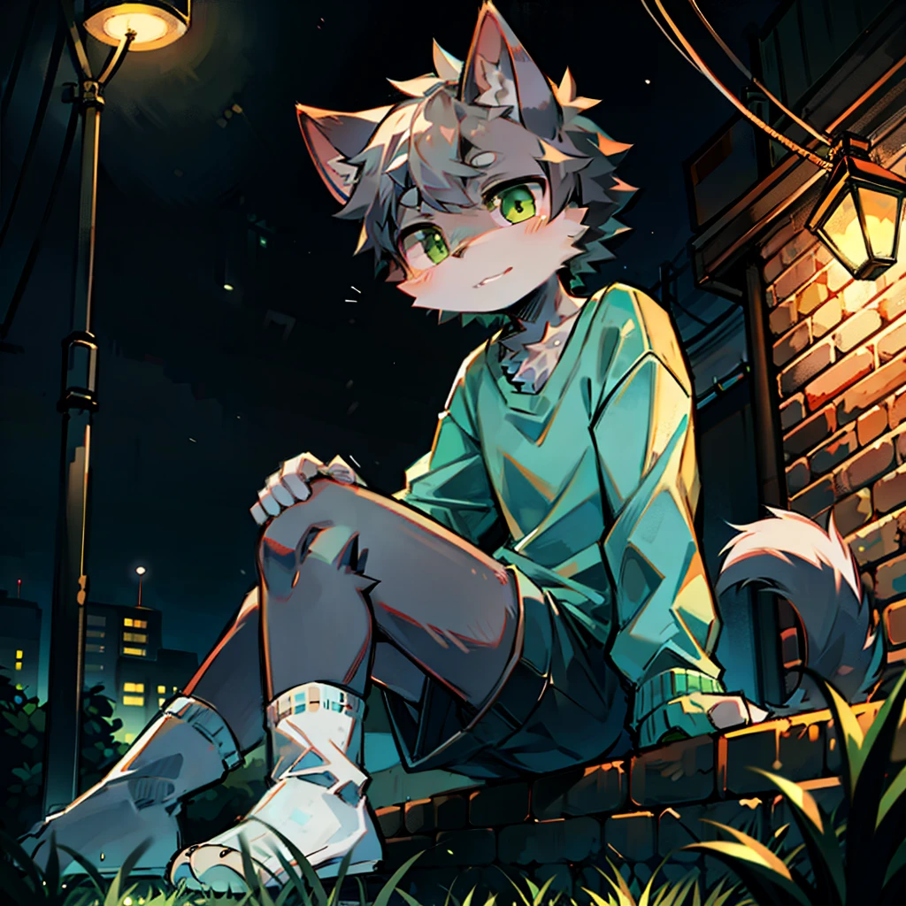 ， cat boy，（Dark grey hair），（Dark gray skin），Green Eyes，Sit cross-legged on the grass，（Wear short white socks），Light blue pajamas and shorts，night，Street Lights，The only person，high quality