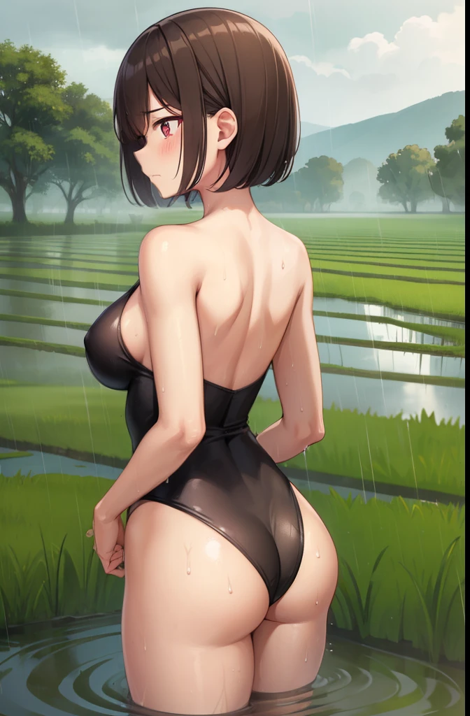 Rice Field,Get in the mud,walk,1 girl,rain,cloudy,fog,Sweat,The body is covered in mud,Shortcuts,Bob Hair,Brown Hair,Blue leotard,Super High Leg Cut,thin,barefoot,blush,Serious face,Large Breasts,Butt,back,Back view,