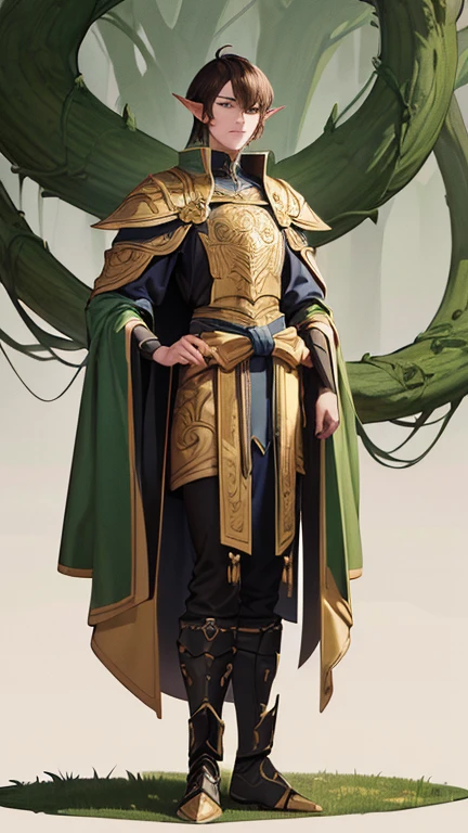 (absurderes, 8k, 4K, work of art, hyper extreme detailed:1.2), (fully body) (full size) (full viwer) standing alone, 1 elf man, from front view, 1 elf man, (pointy ear) portraite, standing alone, masculine, Cao Cao , brownhair, (foliage props).