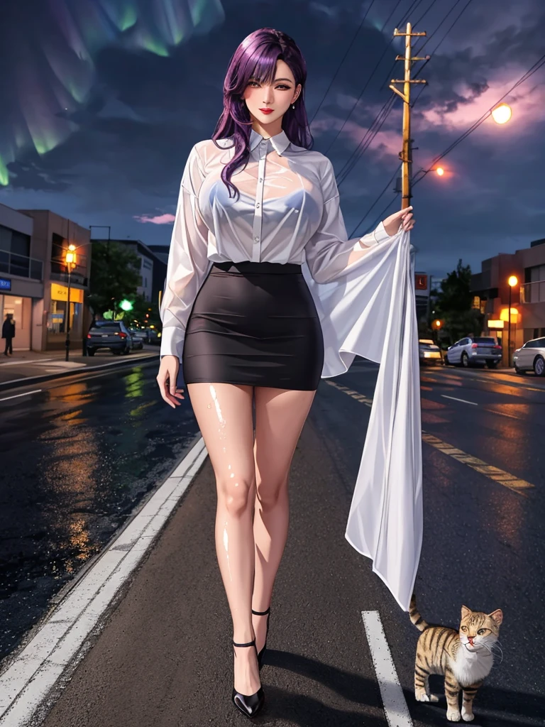 office lady, high resolution, Masterpiece, Anatomically correct, Highly detailed, realistic textures, blushing, dark purple hair, , big breasts, BIG ASS, purple eyes, woman is salking on street, night sky, aurora backgroung, white shirt, short skirt, full body, Embarrassed, serious, Contemptuous look, red lips, Big eyes, secretary uniform, sexy lady, rain, shadow on the road, lion on electricity post, Wet shirt, diamond eyes, wear black stocking, Embarrassed, A thin smile., looking at the audience, with a real cat and rise hair, lickings mouth, long hair, I put my hair behind one ear., long hair, wear white shirt, wear black suit, realistic textures, high resolutionสุด, very detailed, quality,