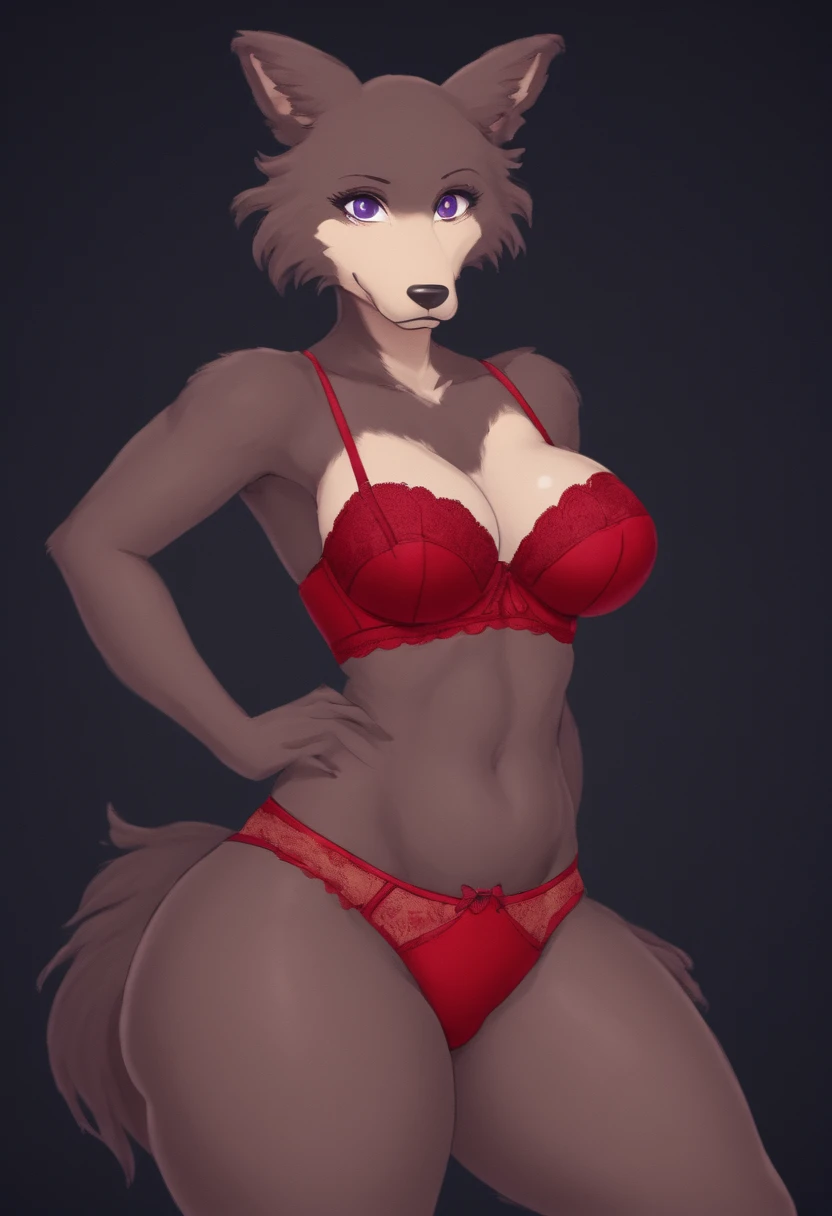 juno beastars,brown fur,wolf girl,purple eyes,big buttocks,big hips,thick thighs,Thin waist,red lingerie,pose sexy,Black background,high quality