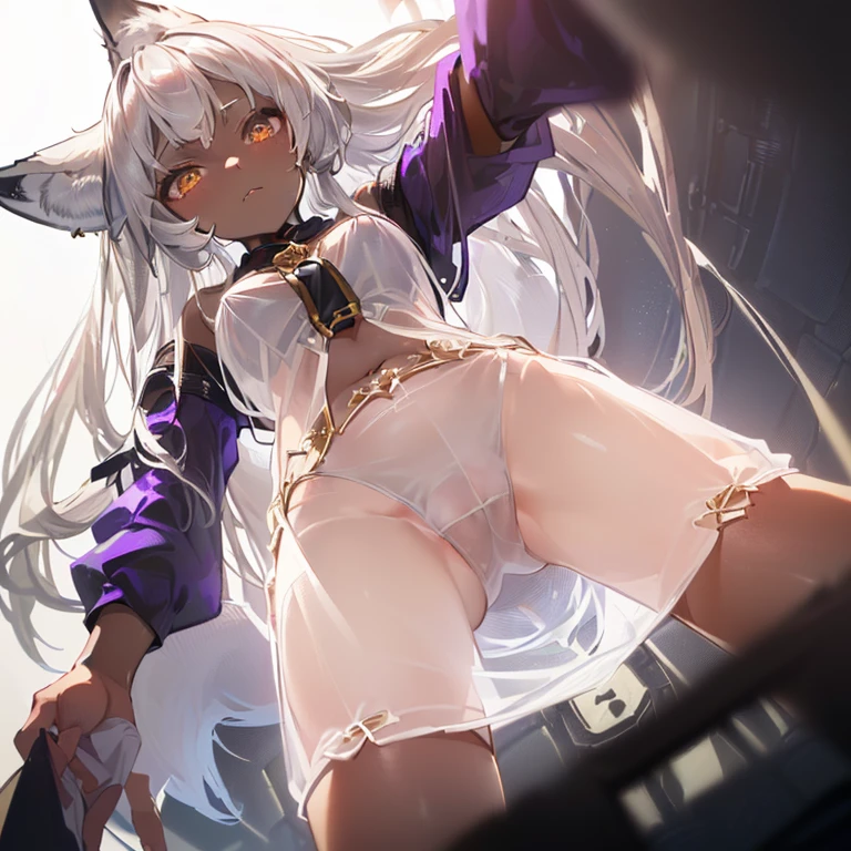 (8k, Realistic, RAW Photos, Highest quality, (from below:2), View your viewers: 1.3), (Fox Girl, Fox Ears, Silver Hair, One Girl, Long Hair, (Alone on the screen, dark skin), High definition:1.6), (Purple clothes, White blouse, sexy see-through underwear, Princess of Condemnation&#39;s Outfit:1.8), (Body measurements are 99-55-77!, Nice body, Big Breasts, slender, muscle, ((skirt hold, show off dark panties), Stand with your legs apart, I can see the valley, Standing posture):1.9),(美しいface, Delicate drawing, It is written down in detail), Avatar, face, 色っぽいface, Dominant representation, naughty face, Uplifting, Skin Texture, outside, ruins, Ruined City, Broken Building, There are no people