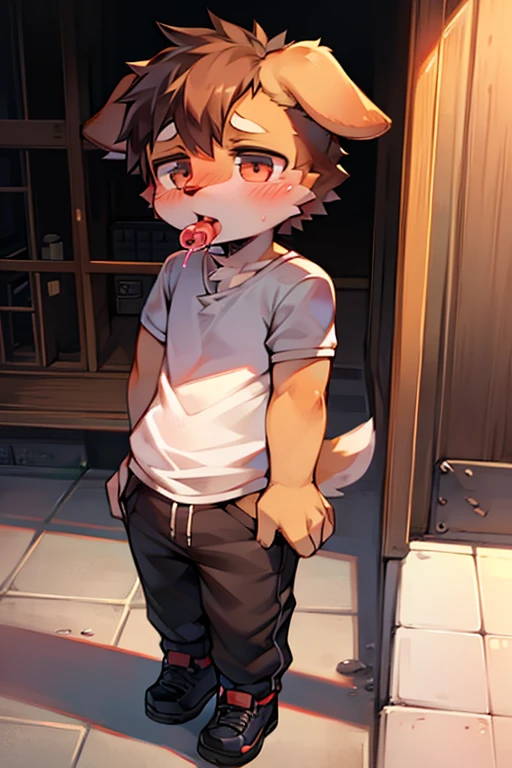 shota,  Puppy, embarrased, with a pop lollipop 