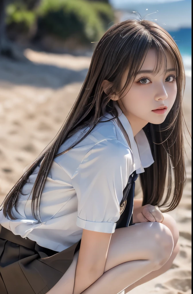 ((masterpiece)), ((Highest quality)), ((High resolution)), ((Ultra high definition)), ((Highly detailed 8k raw photos:1.5)), alone, beautiful girl, Brown uniform, Black Skirt, White socks, Outdoor, Soft skin texture, Perfect Face, Beach, Hanging hair, Parted hair, Platinum Silver Silky Long Hair, hot,Summer sunshine,Lens flare,Depth of written boundary, Professional photography,