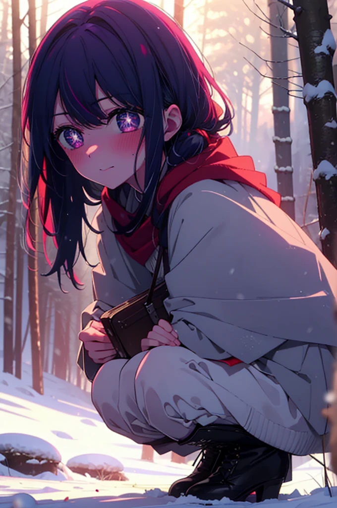 aihoshino, Ai Hoshino, Long Hair, bangs, (Purple eyes:1.1), Purple Hair, (Symbol-shaped pupil:1.5), smile,,smile,blush,white breath,
Open your mouth,snow,Ground bonfire, Outdoor, boots, snowing, From the side, wood, suitcase, Cape, Blurred, , forest, White handbag, nature, Squat, Mouth closed, Cape, winter, Written boundary depth, Black shoes, red Cape break looking at viewer, Upper Body, whole body, break Outdoor, forest, nature, break (masterpiece:1.2), Highest quality, High resolution, unity 8k wallpaper, (shape:0.8), (Beautiful and beautiful eyes:1.6), Highly detailed face, Perfect lighting, Extremely detailed CG, (Perfect hands, Perfect Anatomy),