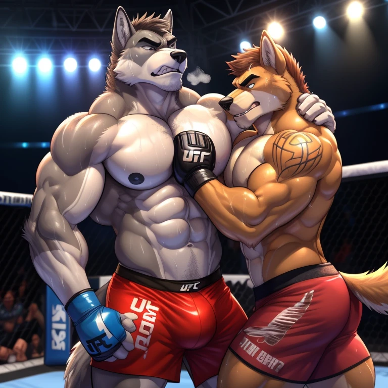 Duo male(Gray Wolf vs Brown Wolf, handsomes, handsome hairstyle, tails, Thick eyebrows, detailed face), gay(Clinch embraced, body with body, on a UFC match), hot(Shirtless), handsomes(They are handsomes, correct anatomy), musculosos(Big muscle bodies, Six packs, muscle abs, big pecs, muscle backs, muscle legs), sweaty(very sweaty wet bodies, shiny sweat), tatuajes(they have tattoos), grumpy(Both have an grumpy expression, grumpy teeths, steaming breath), UFC gloves(They both are wearing UFC gloves), UFC boxers(they both are wearing ufc boxers), Hight resolution, by(Zourik:1.1)