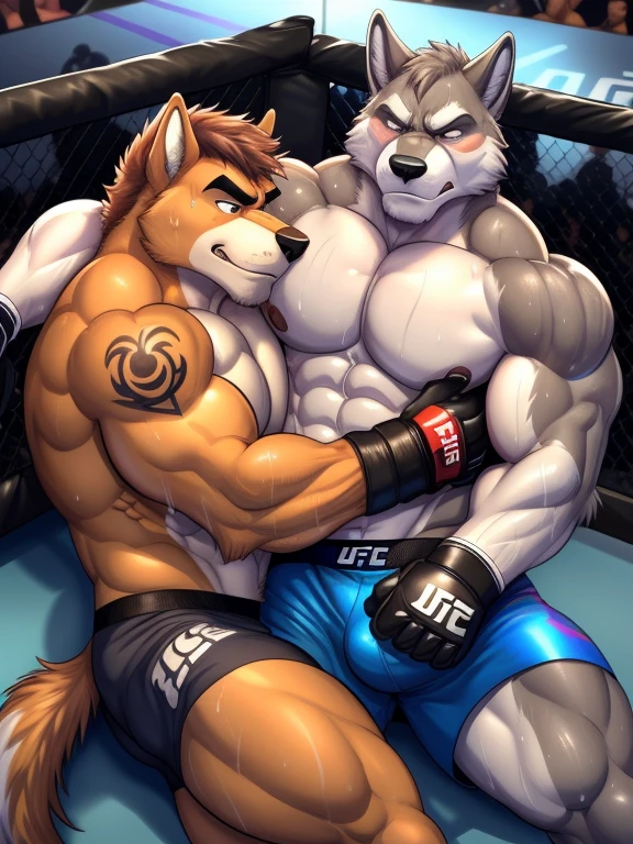 Duo male(Gray Wolf vs Brown Wolf, handsomes, handsome hairstyle, tails, Thick eyebrows, detailed face), gay(Lying down, cuddling fighting, on a UFC match), hot(Shirtless), handsomes(They are handsomes, correct anatomy), musculosos(Big muscle bodies, Six packs, muscle abs, big pecs, muscle backs, muscle legs), sweaty(very sweaty wet bodies, shiny sweat), tatuajes(they have tattoos), grumpy(Both have an grumpy expression, grumpy teeths, steaming breath), UFC gloves(They both are wearing UFC gloves), UFC boxers(they both are wearing ufc boxers), Hight resolution, by(Zourik:1.1)