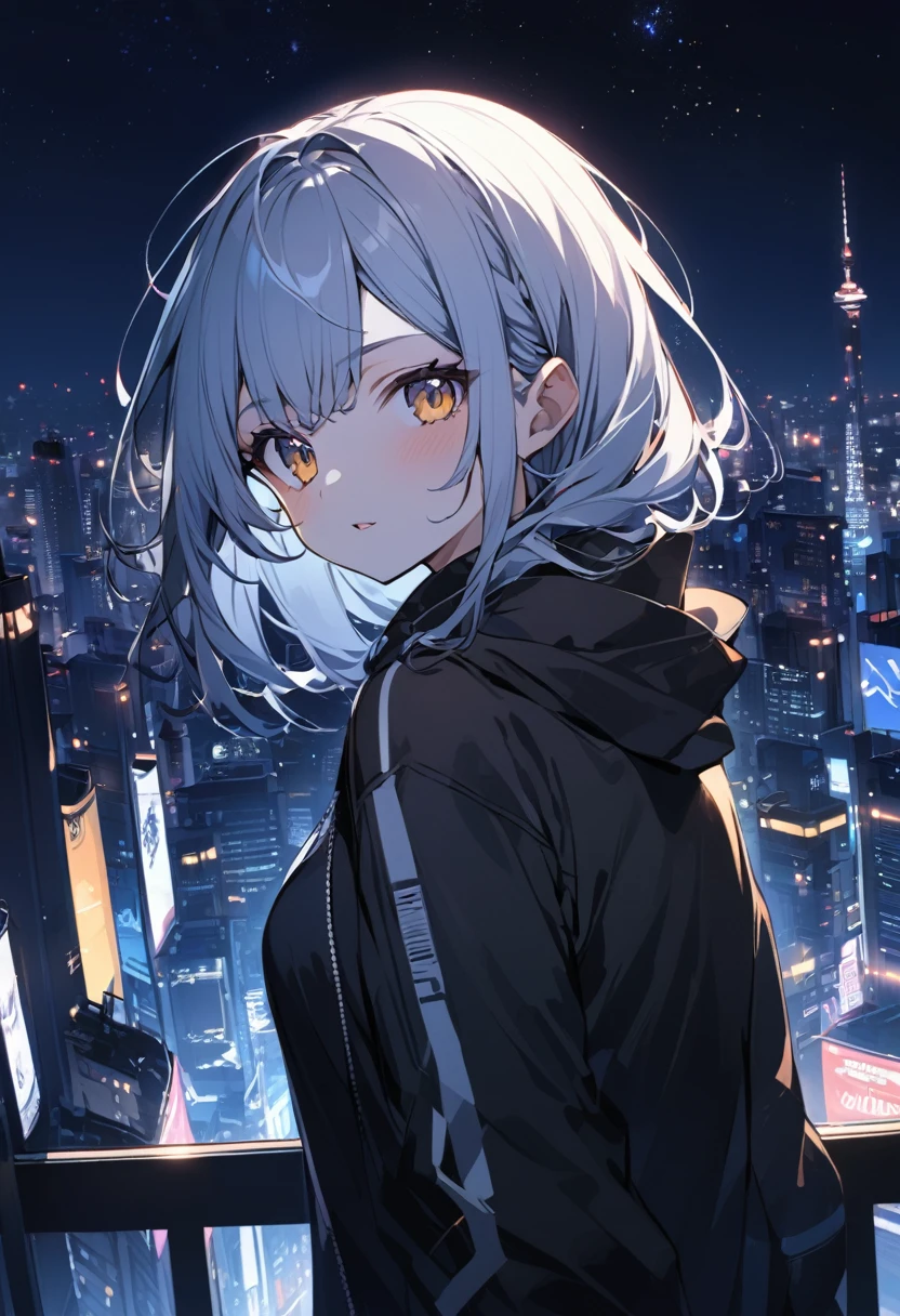 Night cityscape,,night sky, girl