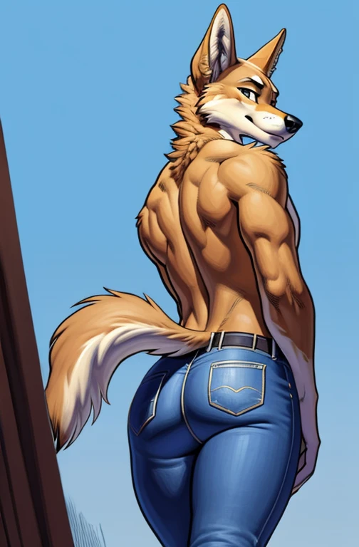 solo, male, tan color fur coyote, canine coyote, small twink body, topless half naked, (bright blue tight jeans, pull down, pants_down, brown shoes), showing his cute butt, focus on butt, ass tails, showing back and looking back, (Portrait Focus), head to toe, looking at viewer, high detailed, masterpiece, dark blue background, flat color, by Meesh