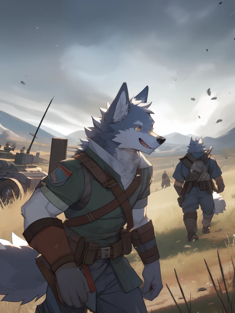Wolf, battlefield, Positive face。