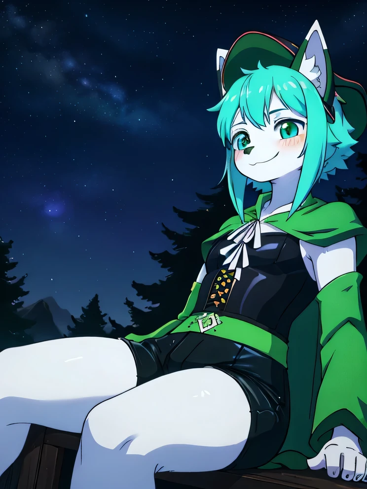 Wolf quality,4K,8K,high resolution,masterpiece:1.2),1 boy,wind_\(Genshin Impact_Influence\),Sitting in a tree,(Face Focus,Delicate face and clear eyes),flat chest,Practical:.5,at night,Lady Shadow,Blue-green eyes,Mysterious smile,Green Cape,White long-sleeved shirt,in a leather corset,(Fluffy Green Shorts),(Plain white leggings),Green Hat, dark night scene, Nebula Starry Sky,dark,Low light,Dark blue light,