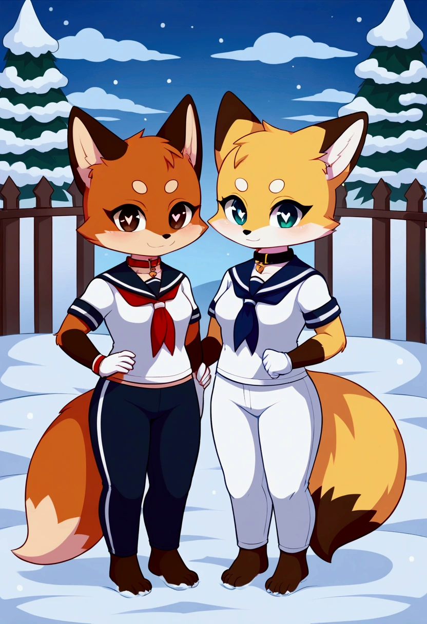 2girls, fox and tanuki, furry, bodyfur, tail, collar, sailor suit, short sleeves, jersey pants, long pants, white gloves, barefeet, chibi, sparkling eyes, full body, snow