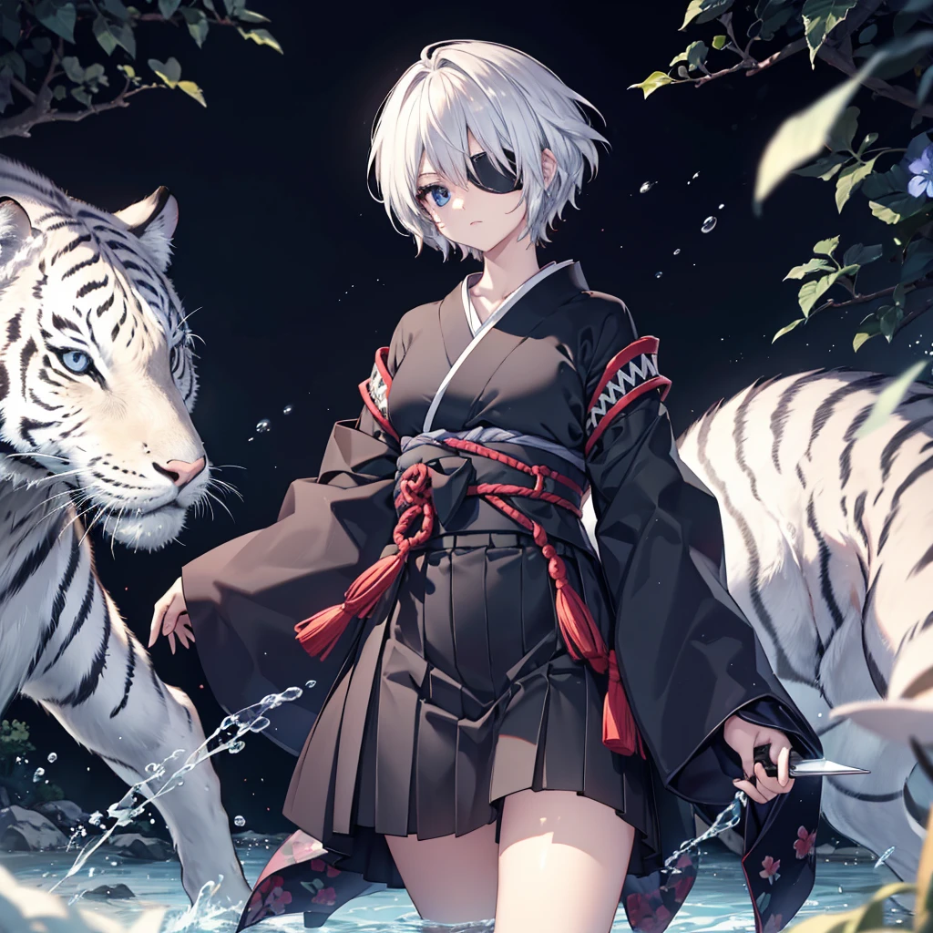 (((1 person　put on an eyepatch　Gray Hair　White Tiger)))　((High resolution　short hair　Black kimono　shoulder　knifeを胸の前で構える))　((Black Band　warrior　Lonely　despair　blue eyes　close))　((Blue Butterfly　night　Japanese style　old　Shining Aura　garden　water surface　Catch the wind))　(dance　日本knife　knife　Slashing)　月night　moonlight　star　Draw your sword　Shining Background　Shining Edges