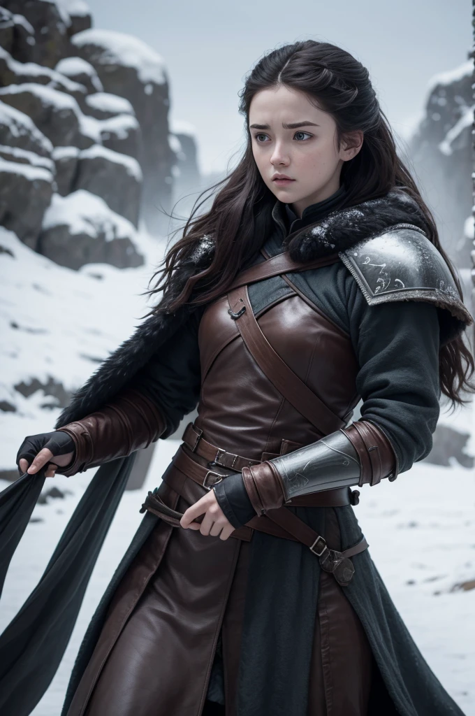 daughter of cregan stark and lady of winterfell a young warrior from the north