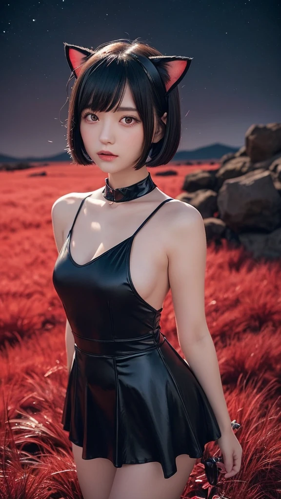 Delicate and dainty young woman with shiny bob-cut black hair and cat ears. She is wearing an off-the-shoulder red only  mini-skirt dress. The background is a fantastic and ethereal night sky that seems to be haunted by a specter. Her expression is stern and atmospheric. Angle from directly below, A-cup