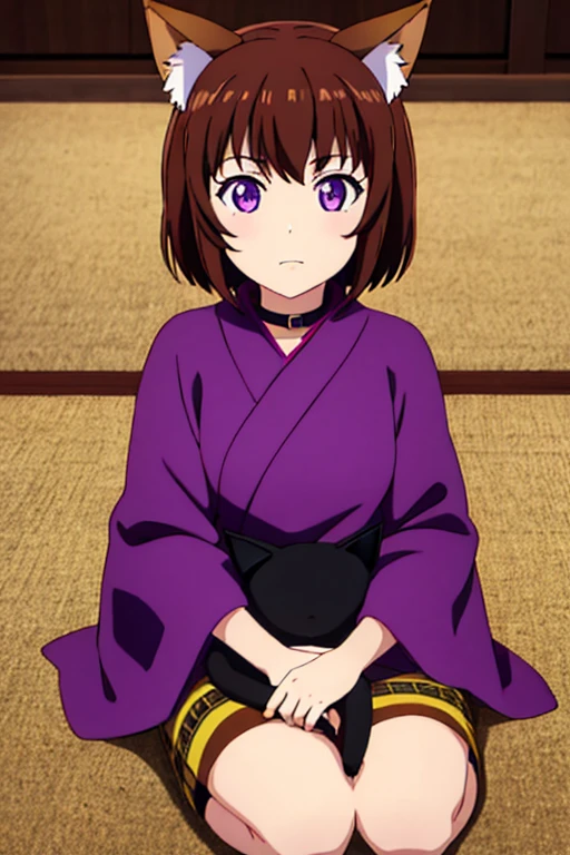 girl, catgirl, cat ears, brown hair, short hair, purple eyes, tribal cloth