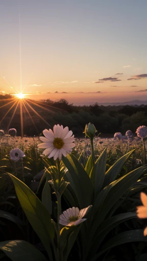 crystal flowers at sunset