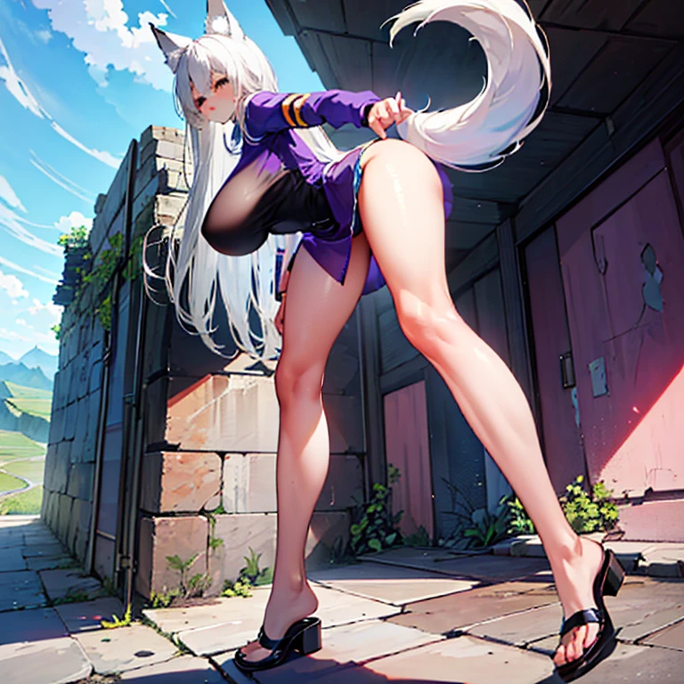 (8k, Realistic, RAW Photos, Highest quality, (from below:2), View your viewers: 1.3), (Fox Girl, Fox Ears, Silver Hair, One Girl, Long Hair, (Alone on the screen, dark skin), High definition:1.6), (Purple clothes, See-through shirt:1.8), (Body measurements are 99-55-77!, Height: 145cm, Nice body, Big Breasts, slender, muscle, (Stand with your legs apart, I can see the valley, bent over):1.9),(美しいface, Delicate drawing, It is written down in detail), Avatar, face, 色っぽいface, Dominant representation, naughty face, Uplifting, Skin Texture, outside, ruins, Ruined City, Broken Building, There are no people