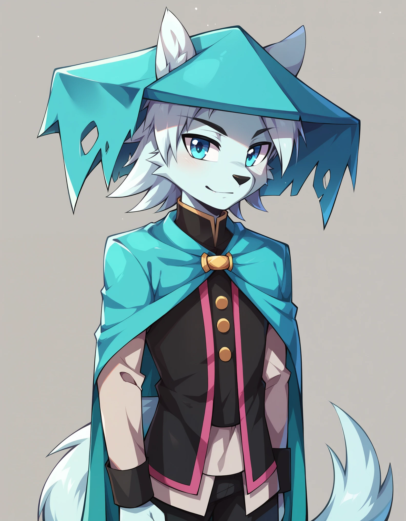 score_9, score_8_up, score_7_up, score_6_up, (du57aet, anthro, tail), ((male focus, 1boy, solo)), male, half-length portrait, blue eyes, hat, cape, vest, village background 