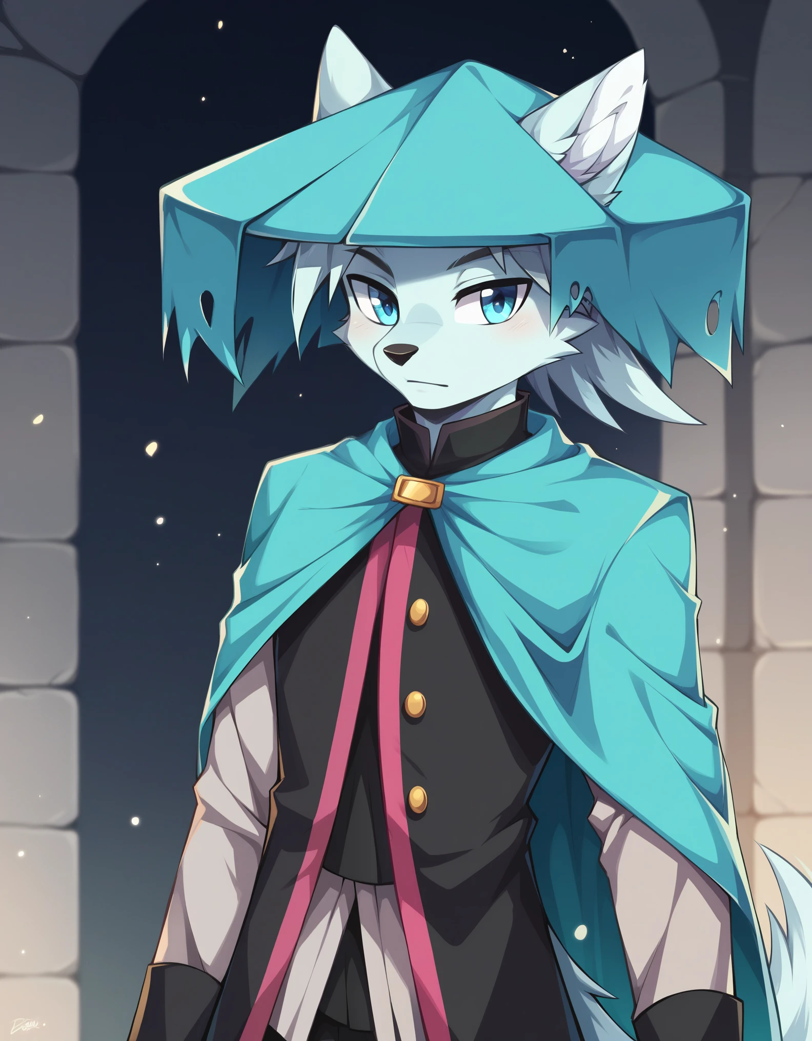 score_9, score_8_up, score_7_up, score_6_up, (du57aet, anthro, tail), ((male focus, 1boy, solo)), male, half-length portrait, blue eyes, hat, cape, vest, village background 