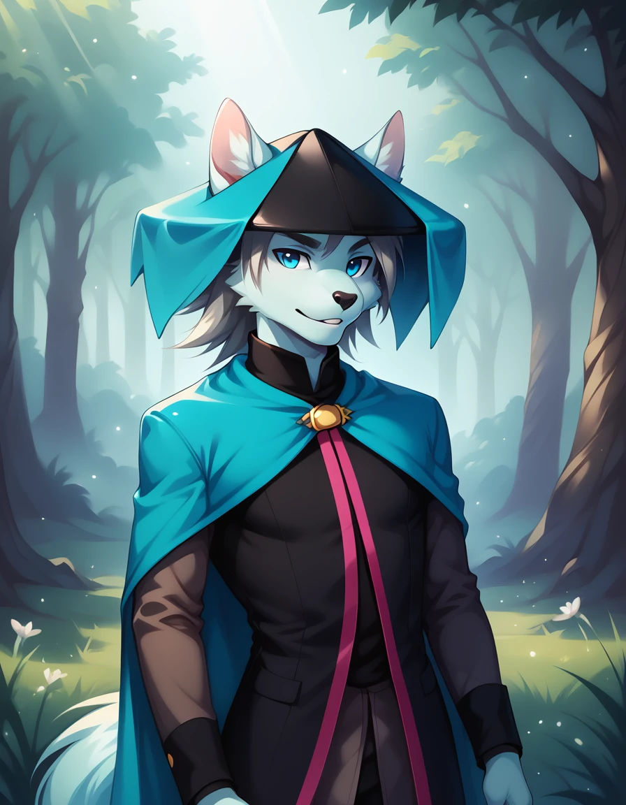 score_9, score_8_up, score_7_up, score_6_up, (du57aet, anthro, tail), ((male focus, 1boy, solo)), male, half-length portrait, blue eyes, hat, cape, vest,  forest background 