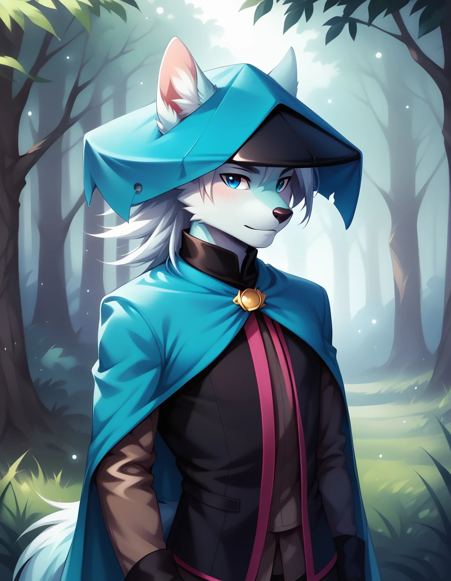 score_9, score_8_up, score_7_up, score_6_up, (du57aet, anthro, tail), ((male focus, 1boy, solo)), male, half-length portrait, blue eyes, hat, cape, vest,  forest background 