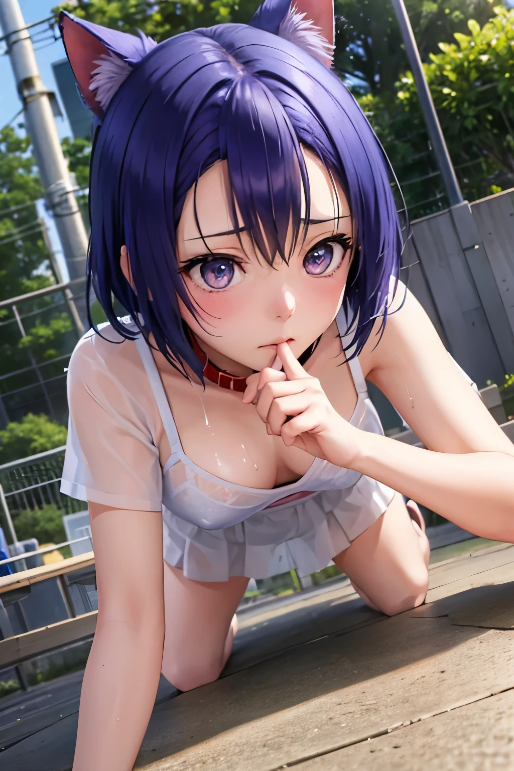 Haruna Sairenji、To Love-Ru、Blue Hair、Bobcut、Hairpins x 2、Show your forehead、high school girl、White gym clothes、Bloomers、Soaking wet、Wet gym clothes、Sheer gym clothes、You can see through the bra、See-through underwear、first round、Embarrassing、blush、Watery eye、Moist eyes、（（（ＳＦＷ、sound、Highest quality、first-clasasterpiece、Normal body、8k、Detailed face、Ultra-precision、Normal hand、Normal finger、５Finger、Highest）））、Full body view、School、Backyard of the gym、heavy rain、Outdoor、On all fours、Dog collar、リード付きfirst round、犬のfirst roundを付けられた、first roundに鎖、Being pulled by the lead、first roundの鎖を引っ張られている、first roundのリードを牽かれてOn all foursで歩いている、On all foursで散歩、first roundの鎖が張っている、Threatened、Being at the mercy of、Scared、Bloomersの中にローター