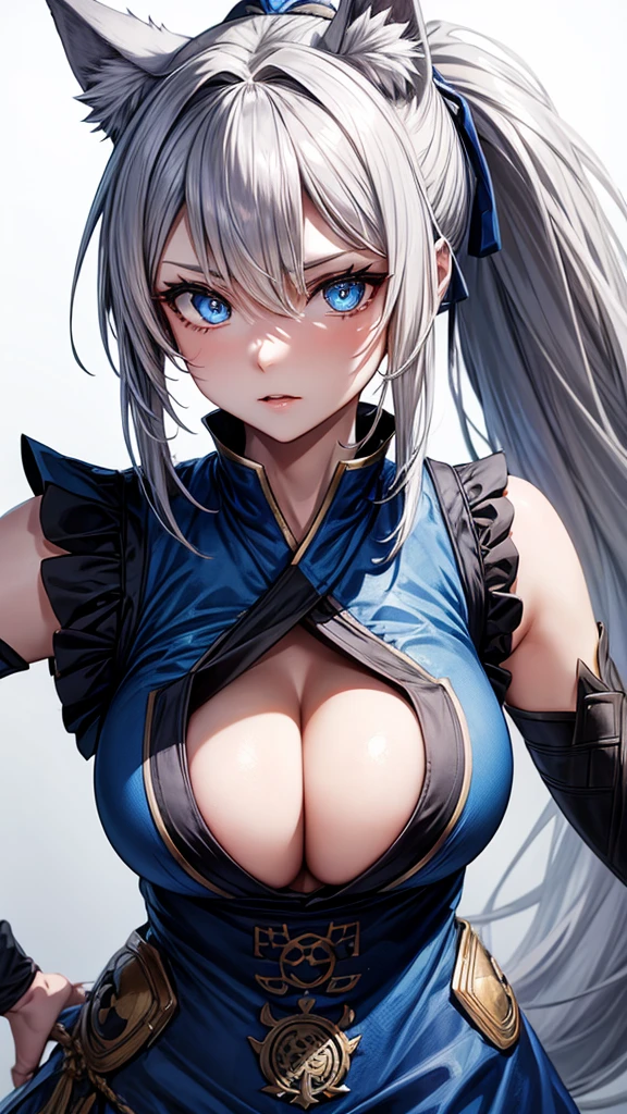 Wolf girl,gray hair tied in a ponytail,wolf ears,blue eyes,frightening look,oriental dress in blue,big breasts,close-up