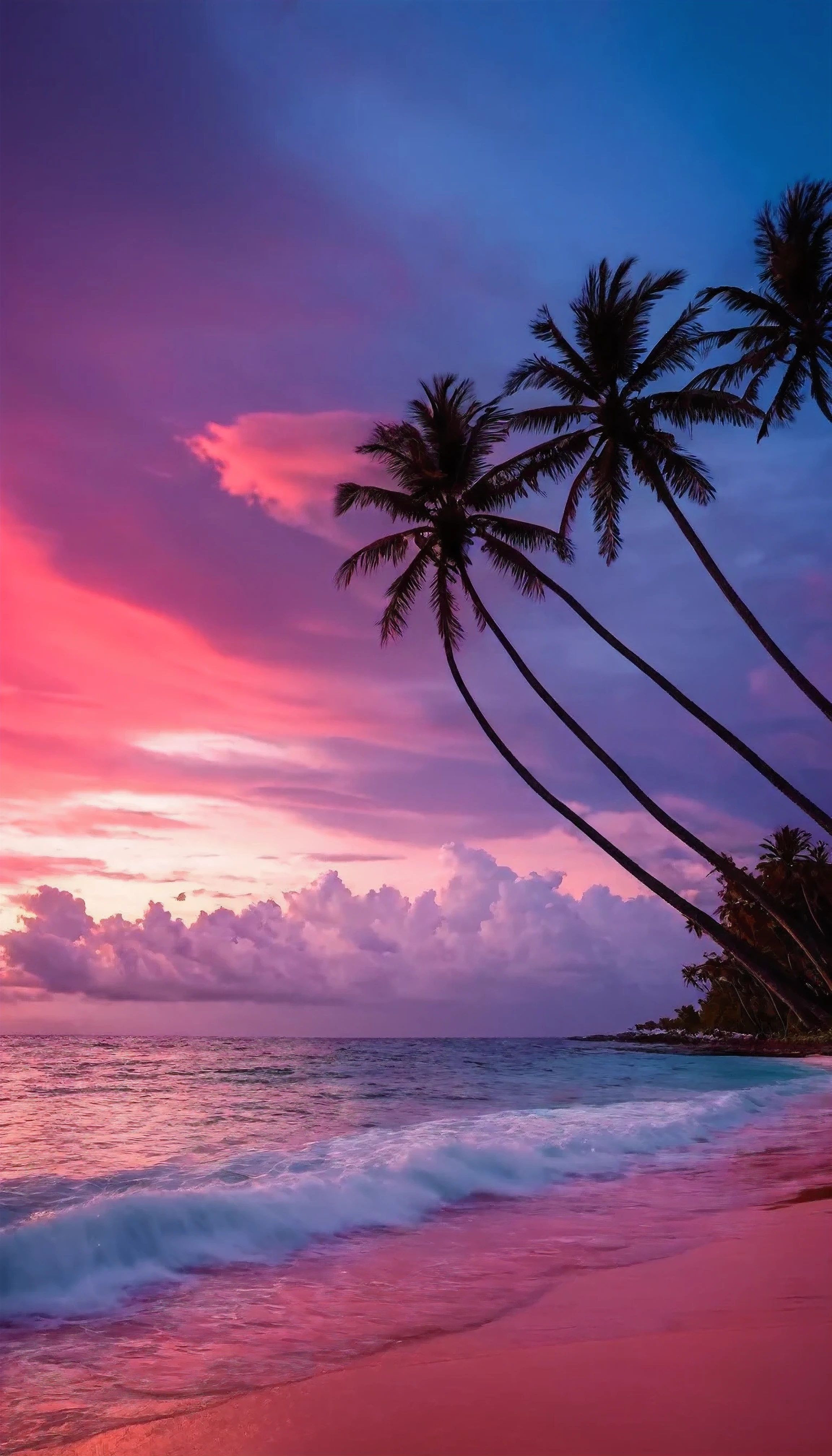 Beach , coconut trees shaking as being blown by strong wind , blue sea water , red dusk sky , red dusk cloud