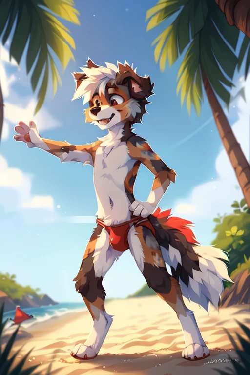 Beach background, ((by keihound, by reysi)), by Zackary911, by fluff-kevlar, Furry, Anthro, ((Australian Shepard)), detailed fur, (()), ((small)), ((short)), dynamic pose, standing, short white hair, ((short fluffy tail)), ((red speedo, tight red speedo, tight, bulge)),