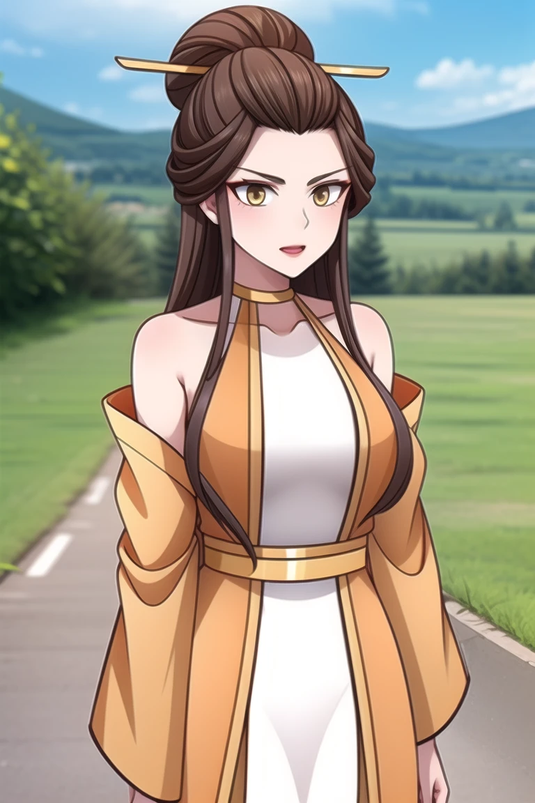 jiu feng, 1lady, brown hair tied into a bun above head,  wearing her original dress, standing outdoors, cowboy shot