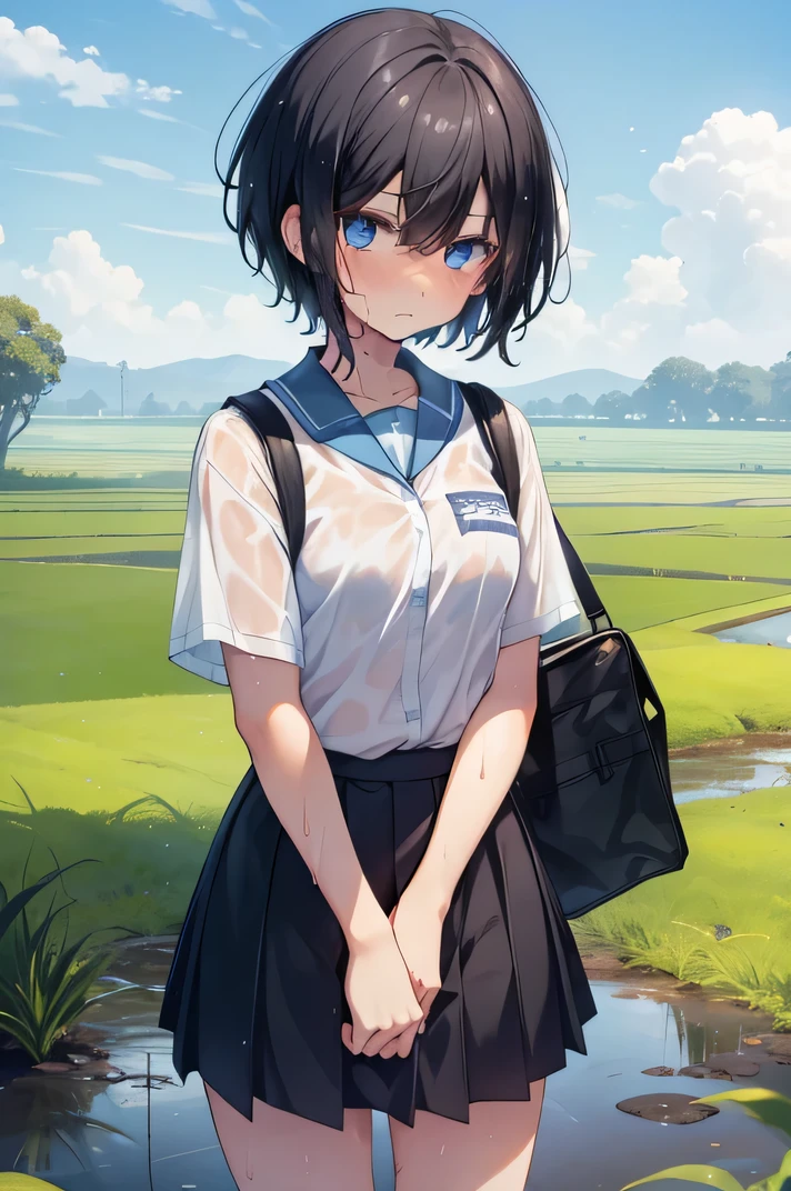 girl,high school girl,boyish,Black Hair,bag,Very short hair,Summer uniform,mini skirt,Sweaty,Wet,Troubled face,blush,blue eyes,countryside,Rice Field,Serious face,sun,