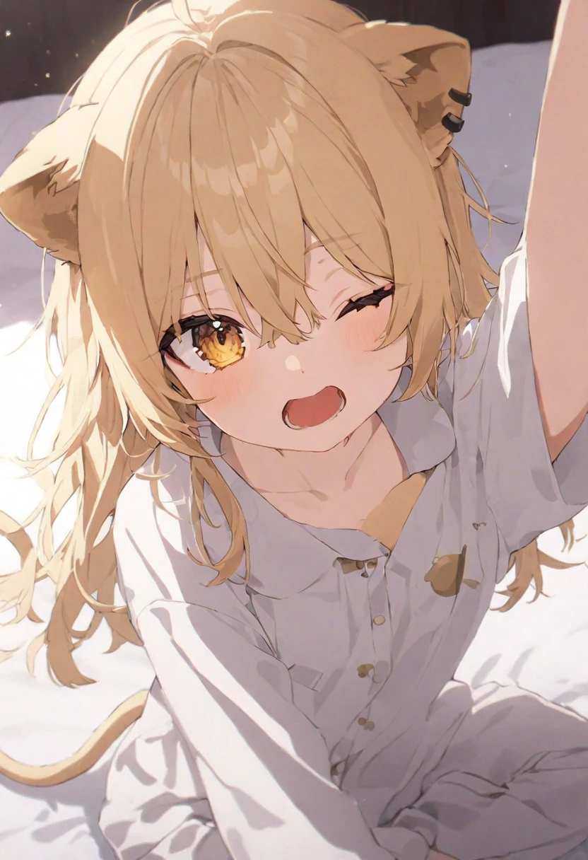 (muste piece), (best quality), (score_9, score_8_up, score_7_up), very detailed eyes, expressive eyes, perfect face, very detailed face, highly detailed face, beautiful girl, 8K, beautiful girl, white background, delicate and beautiful face and eyes, dark intense shadow,
1 girl, vtuber style, cool girl, hololive, vtuber, rurudo_lion, blond lion ears, blond lion tail, blond hair, long hair, messy hair, blond eyes, hair between eyes, White pajamas, messy pajamas, close one eye, look up, small chest, clavicle, yawned and stretched, one arm up, (full body), sitting on bed, indian style,