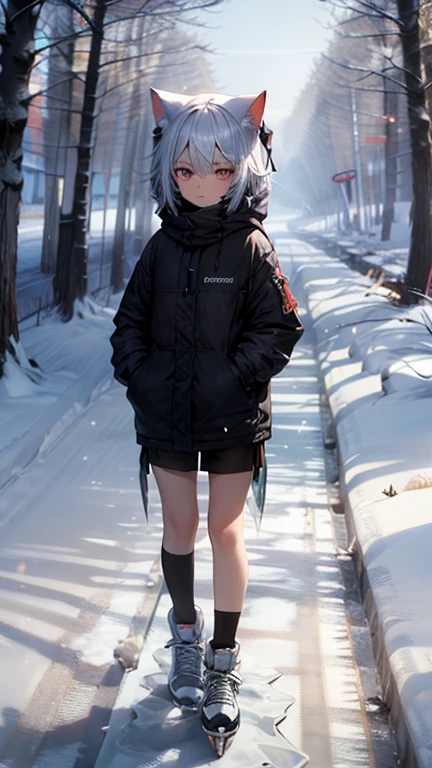 Ice Fairy,Cirno,Cat ear,mysterious,forest,lake,skate,winter
