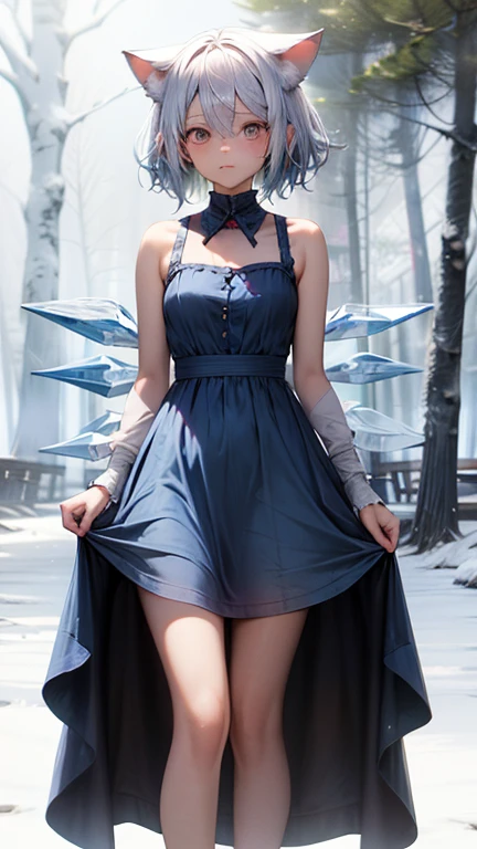 Ice Fairy,Cirno,Cat ear,mysterious,forest,lake,skate,winter,Blue dress,Pink ribbon on the chest