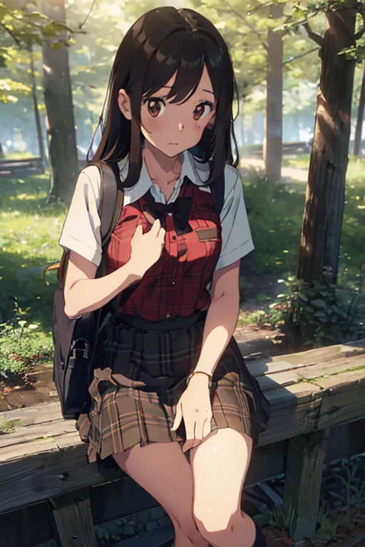 1 girl, Brown hair, Skinny body, submissive facial expression, In a forest, Plaid shirt and a raised skirt
