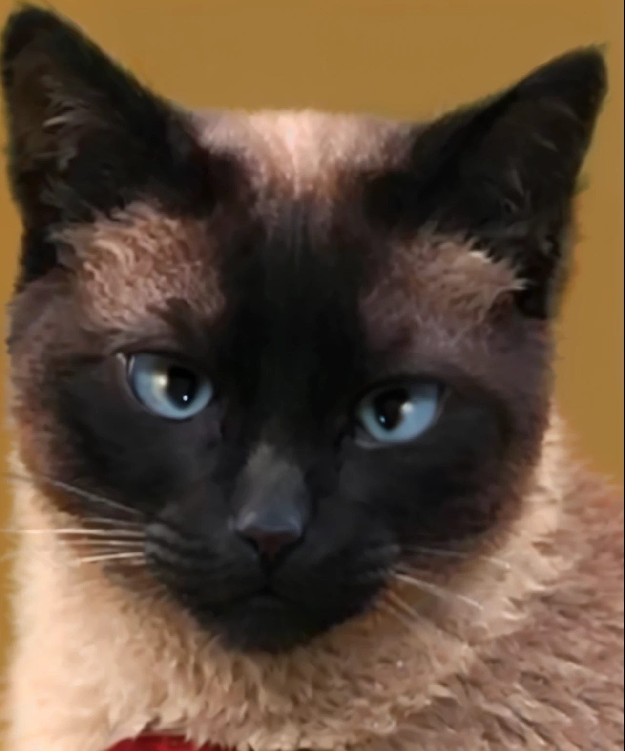 feline, ultra realisitic, very detailed, soft fur, very realistic, ultra hd image, 品質, blue colored eyes, catboy, feline, very realistic, soft fur, insane details