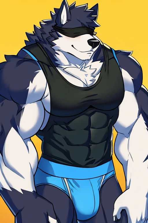 Alaskan Malamute Dog, muscular, furry, with face covered, black hooded sleeveless shirt, blue underwear