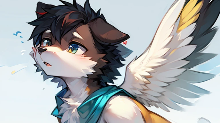 Create an animal that combines the loyalty and playfulness of a dog, the grace and independence of a cat, and the freedom and curiosity of a bird. This creature has a harmonious blend of features, with a sleek, agile body, expressive eyes, and feathered wings.