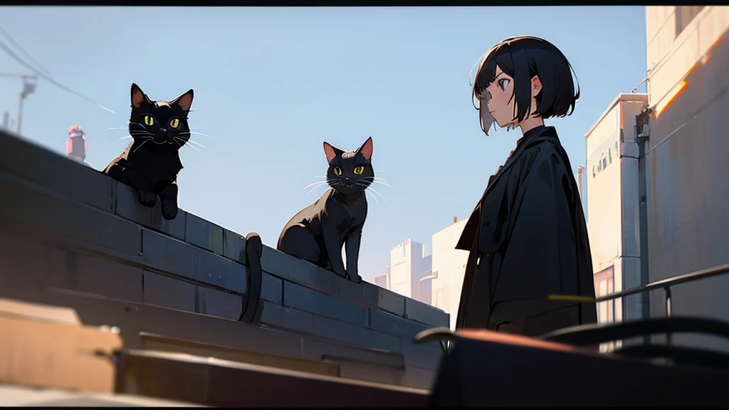 1 female, Accompanied by a cat, short hair, Black cat,Cinematic