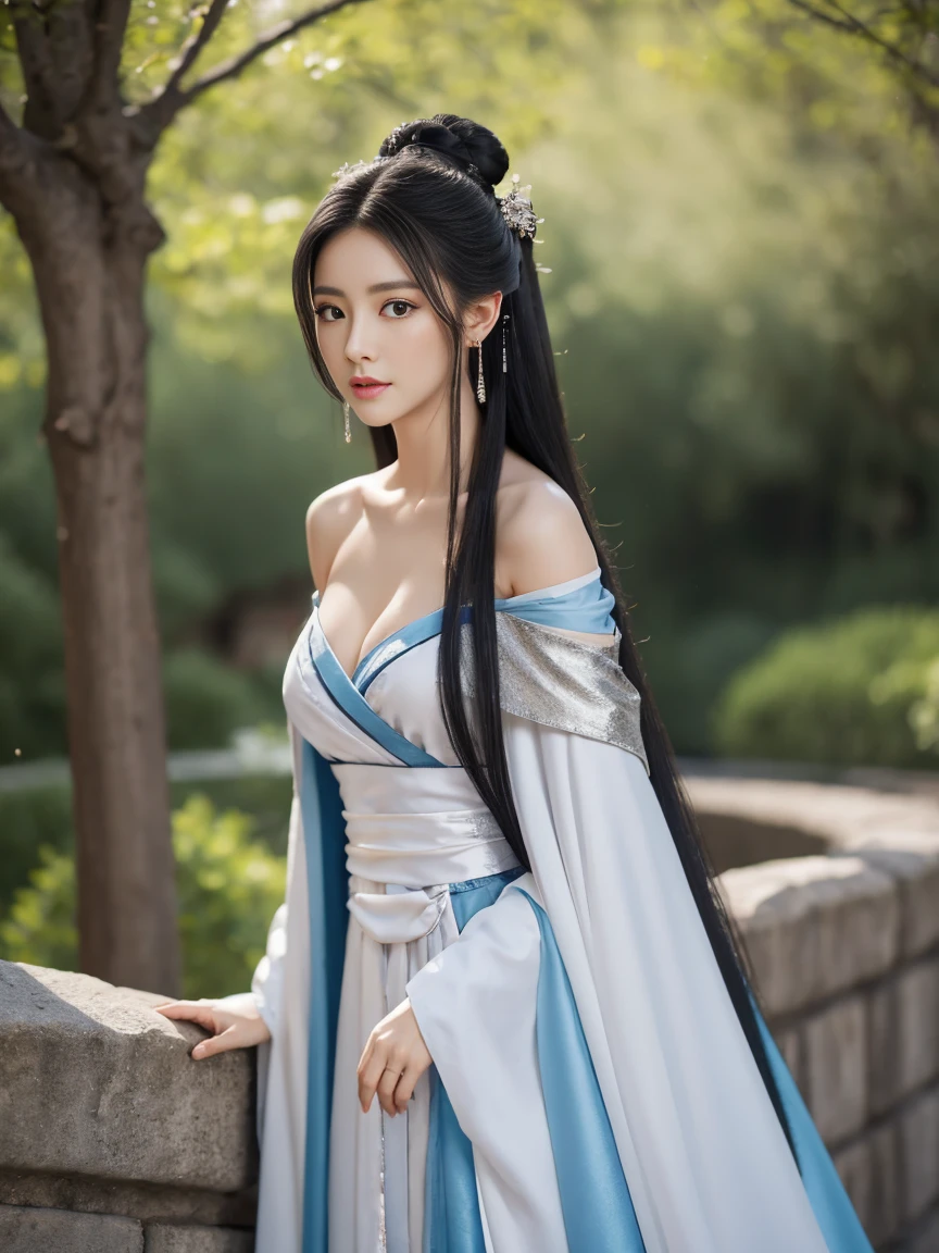 best quality,8K resolution,woman,Princess,Long hair,Black Hair,Hanfu,only_Shoulder, cape, earring,Hair Bun,stocking,best quality,8K resolution,whole body,woman,Princess,Black Hair,Long hair,Hanfu,Silver Cleavage Dress,only_Shoulder,stocking,High heel,