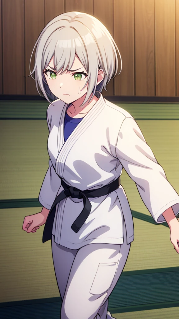 ((masterpiece, Highest quality, Very detailed, Very nice 8K CG wallpaper)), , A little thick, Medium Hair, White Hair, short hair, Yellow-green eyes,judo player、長袖judo着、Large bust、ロングjudoパンツ、judo、Serious expression、Inside the judo Gymnasium、、On the tatami、discovery、One Girl、Ready for battle、A tough fight、Hinomori Shiho、Bust size: B cup、Sweating