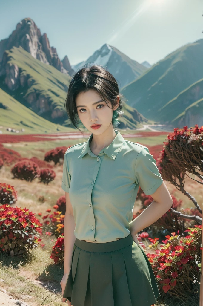 (((best quality))),(((ultra detailed))),(((masterpiece))),illustration,((1 beautiful girl,tomboy,solo)),(short black hair:1.3),((slim,thin)),((small breasts,thin)), vigorous, confident, (light green collared short-sleeved shirt:1.3), (dark green skirt:1.2),(slender legs:1.2),(standing:1.3),simplicity, robustness, strong features, (Abandoned Gobi Scene:1.3),(Rock surface:1.2),glowing eyes, rebellious, sensible, (mountainous landscape:1.3), (beside a vibrant red flower:1.3),elegance, unyielding spirit, youthful beauty, strength, resilience, adversity, challenges,((from front,upper body))
