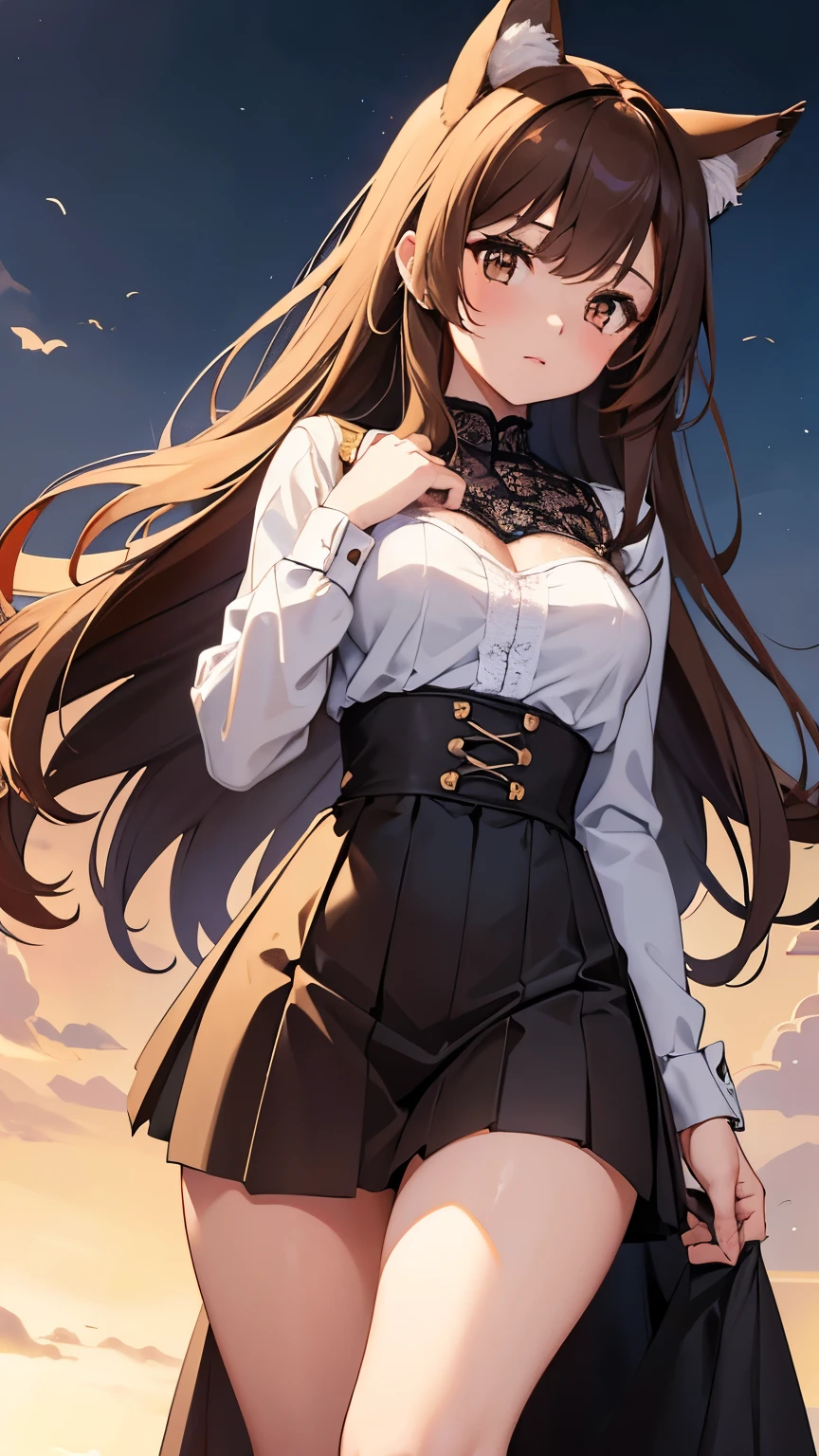 1girl, 20yo,Young female, 4k, high resolution, best quality, masterpiece, perfect colors, perfect shadows, beautiful and detailed portrait of a (((feminine))), perfect lighting, Female, Beautiful brown eyes, fit body, detailed face, (detailed eyes), perfect pupils, Tall, brown long hair, Brown long messy hair, Wide hips, big legs, (B cup breasts),20 year old, Well build, Slightly muscular, Soft abs, Wide thighs, big thighs, wearing a longer skirt but not dress yet and a Lace shirt, medival clothes, Lace shirt, small breasts, Fox ears, Fox tail