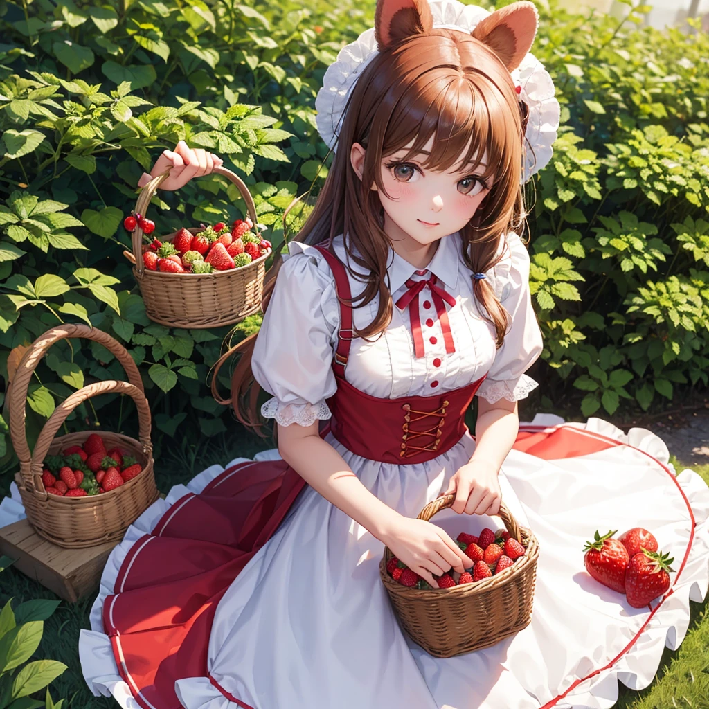 Create a teddy bear in country clothes, stop at two paws, with strawberry basket, White background, glad.