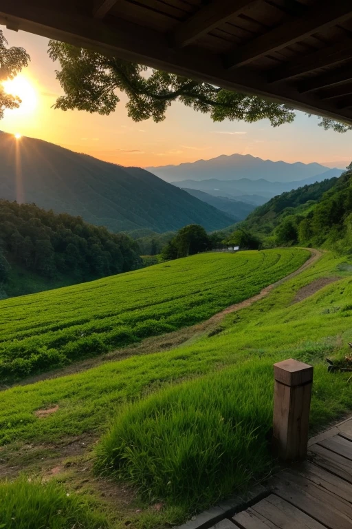 Mountain、green、sunset
