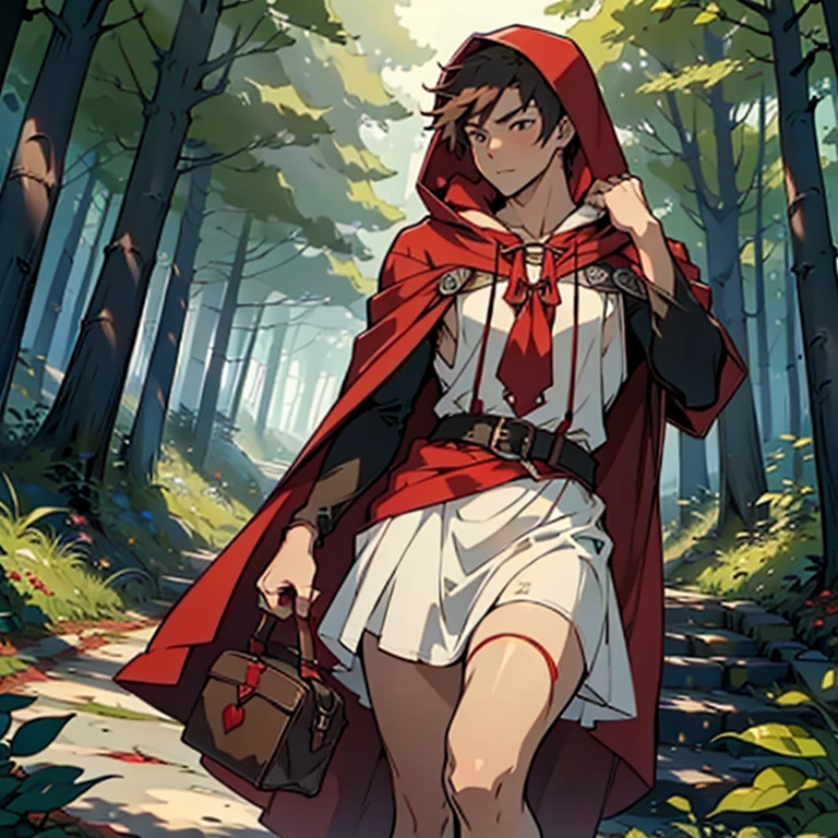 ((A male innocent version of red riding hood wearing short minimerotic dress)), NSFW, hentai, he is on his way to his grandma, (beautiful fairytale forest setting), he is lewd and lifting his skirt, 