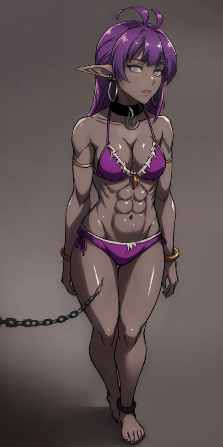 Appearance
Gender: Female
Age: Mature
Race: Drow (elf with dark skin and purple 2bangs hair side to side)
Height: Full-body
Skin: Gray
Skin: Gray
Background: Plain Gray
Eyes: Purple
Attire: Bikini, revealing abdominal muscles
Accessories: Large earrings, ragged rags, chain necklace
