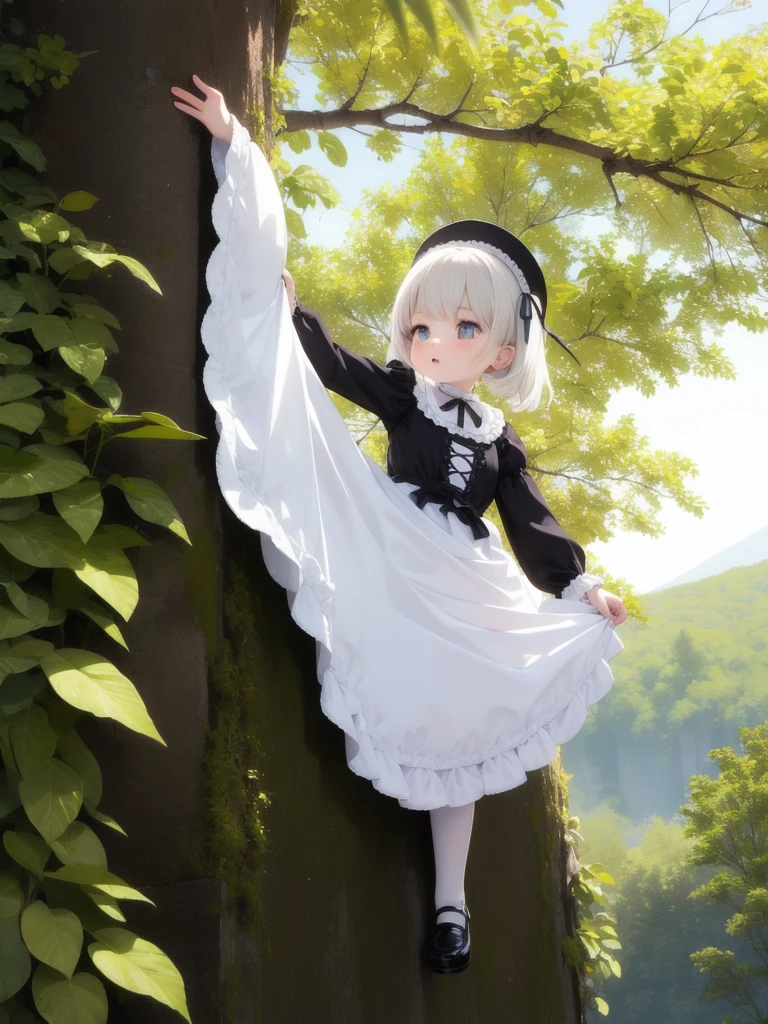 Lolita fashion, long dress, 1girl, Solo, climbing